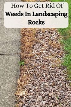 rocks on the side of a road with text overlay that reads how to get rid of weeds in landscaping rocks