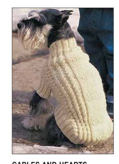 a small dog wearing a sweater while standing next to a person's legs and leg