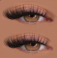 Hybrid Wispy Cat Eye Lash Extensions, Cateye Lashextensions, Cat Eye Lashes