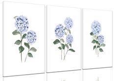 three blue hydrangeas on white canvases with green leaves and stems in the center