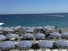 many umbrellas are set up on the beach