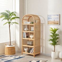 a living room with a wicker bookcase and potted plants