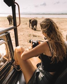 a woman sitting in the passenger seat of a vehicle looking out at an elephant herd