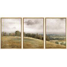 three framed paintings on a wall with grass and trees in the background