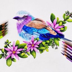 a drawing of a colorful bird sitting on top of flowers and leaves with colored pencils next to it