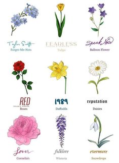 an image of flowers that are in the language of their meanings and names, as well as