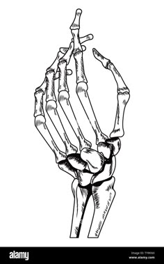 the hand and wrist bones in black and white stock photo, images and royalty illustrations