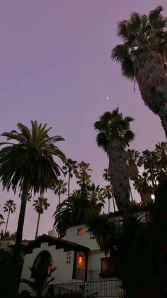 palm trees are silhouetted against the night sky in front of a white house and gate