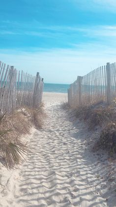 a sandy path leading to the beach with a wooden fence on one side and grass in the other