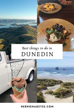 the best things to do in dunendin