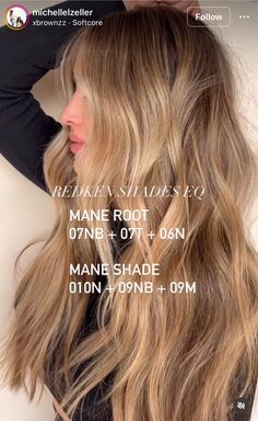 Honey Blonde Hair Redken, Honey Blonde Hair Color Formula, Honey Blonde Hair Redken Shades, Shades Eq Dark Blonde Formula, Warm Honey Blonde Formula, Honey Blonde Toner Formula, Golden Blonde Toner, Honey Blonde Hair Formula, Warm Blonde Formula