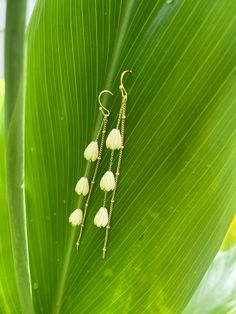 Pikake earrings  Used 1mm Dainty chains  &3 pikake (6-7mm each) White Long Drop Earrings With Adjustable Chain, White Threader Earrings As A Gift, White Threader Earrings With Ear Wire For Gift, White Latkan Drop Earrings, White Drop Earrings With Latkans, White Latkans Drop Earrings, White Long Drop Threader Earrings As Gift, White Dangle Threader Earrings, White Threader Earrings With Adjustable Chain As A Gift