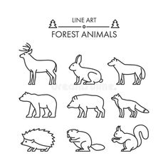 line art forest animals set on white background