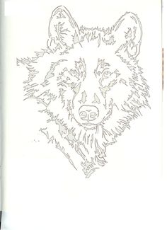 a drawing of a wolf's head on paper