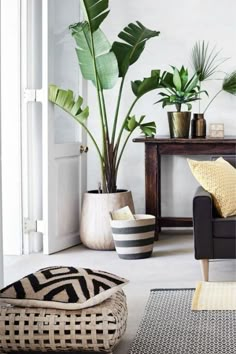 a living room with plants and rugs on the floor