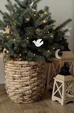 a small christmas tree in a basket with lights