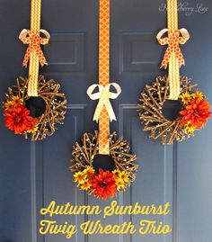 three wreaths hanging on the front door with autumn ribbons and bows attached to them