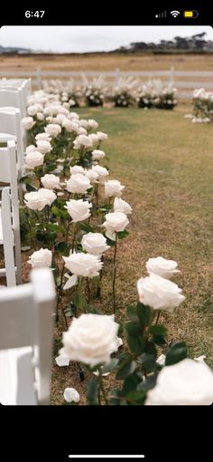 rows of white chairs with flowers in the grass