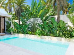 a swimming pool surrounded by palm trees and other greenery in front of a house