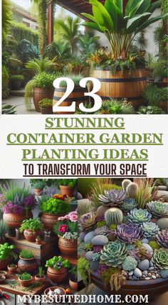 the cover of 23 stunning container garden planting ideas to transform your space