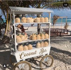 an ice cream stand on the beach with coconuts