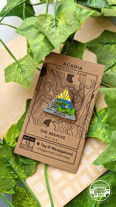 a wooden badge sitting on top of some green leafy plants with the words acadia