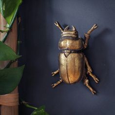 a golden frog sitting on top of a black wall next to a green leafy plant