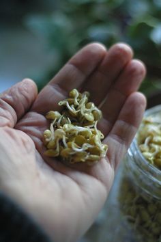 a person holding some kind of food in their hand next to a jar filled with seeds