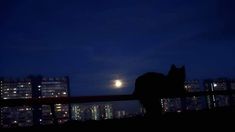 a person standing on a balcony at night with the moon in the sky behind them