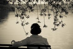 a person sitting on a bench looking out at the water and tree branches hanging over them