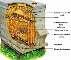 the parts of a beehive labeled in english