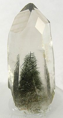 a clear crystal with trees in it