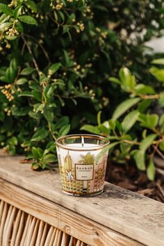 a candle sitting on top of a wooden table next to some bushes and trees in the background