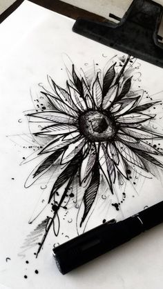 an ink drawing of a flower on paper