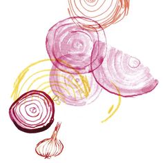 an onion and garlic drawing with colored pencils on white paper, in the shape of spirals