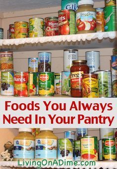 an organized pantry filled with canned food and labeled foods you always need in your pantry