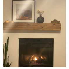 a fire place in a living room next to a potted plant and framed pictures