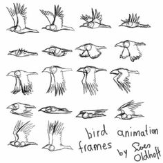 an image of birds that are drawn in black and white with the words bird animation frames by