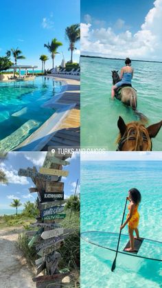 there are four pictures with people riding horses in the water, and one has a sign post