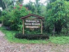 the welcome sign to cave branch recreation area is surrounded by trees and bushes, along with a trail