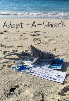 a shark toy laying on top of a beach next to the ocean with text overlay that reads adopt - a - shark