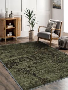 a living room area with a chair, rug and potted plant on the floor