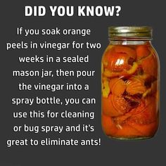 a glass jar filled with orange peels next to a gray background that says, did you know? if you soak orange peels in vinegar for two weeks in a sealed mason jar