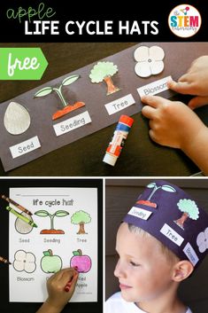 the life cycle hat is an easy and fun activity for kids