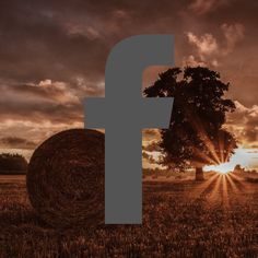 a large hay bale sitting in the middle of a field next to a tree