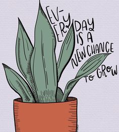 a plant in a pot with the words every day is a fun chance to grow