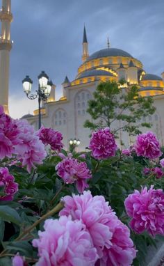 pink flowers in front of a white building with a light on it's roof