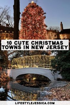 the christmas tree is lit up in new jersey