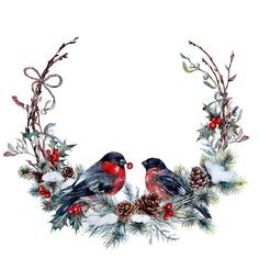 two birds sitting on top of a wreath filled with pine cones and red berries, surrounded by evergreen branches