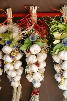 three bunches of garlic are hanging on the wall next to each other with plants growing out of them